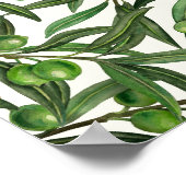 Poster Branches d'olive sur blanc (Coin)