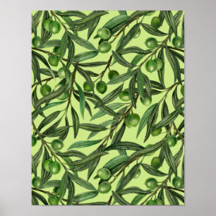 Poster Branches d'olive sur le vert miel