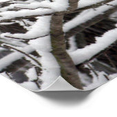 Poster Branches enneigées (Coin)