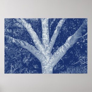 Poster Branches fourrées - Effet Cyanotype
