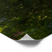 Poster Branches japonaises IV (Coin)