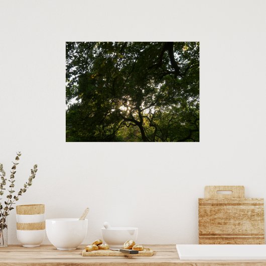 Poster Branches japonaises IV (Cuisine)