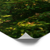 Poster Branches japonaises V (Coin)