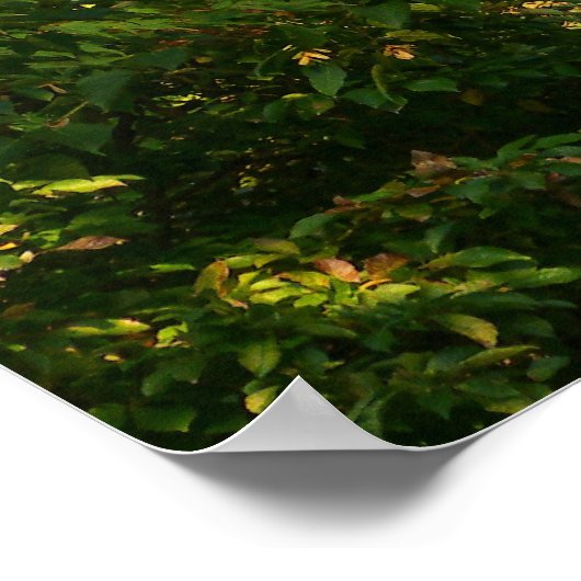 Poster Branches japonaises V (Coin)