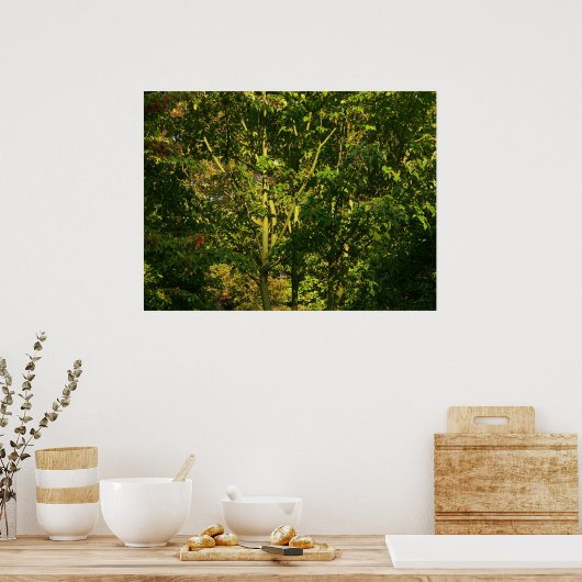 Poster Branches japonaises V (Cuisine)