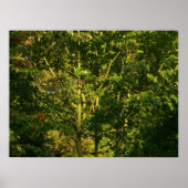 Poster Branches japonaises V (Devant)