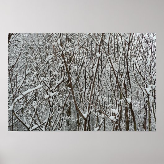 Poster Branches recouvertes de neige Hiver (Devant)