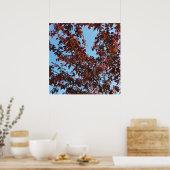 Poster branches rouges sous le ciel bleu (Cuisine)