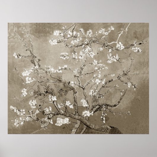 Poster Branches Van Gogh Almond en Bloom - Sepia (Devant)