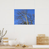 Poster Branches vers le ciel (Cuisine)