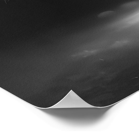 Poster Branches vides - B&W (Coin)