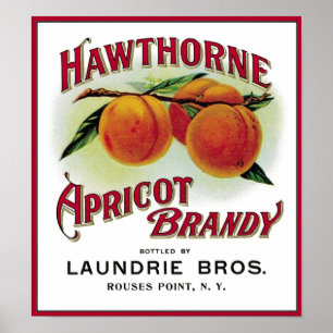 Poster Brandy Hawthorne Apricot