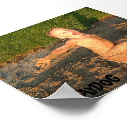 POSTER BRAYDOG (Coin)