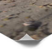 Poster Breakers, Vie de plage (Coin)