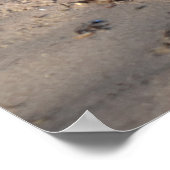 Poster Breakers, Vie de plage (Coin)