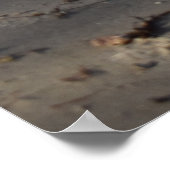 Poster Breakers, Vie de plage (Coin)