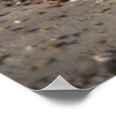 Poster Breakers, Vie de plage (Coin)