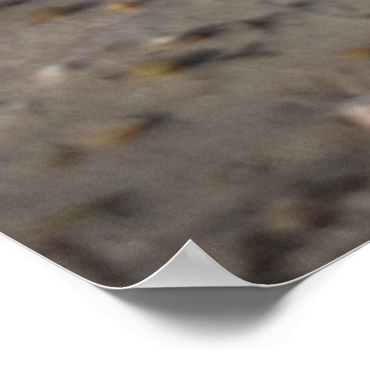 Poster Breakers, Vie de plage (Coin)