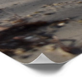 Poster Breakers, Vie de plage (Coin)