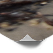 Poster Breakers, Vie de plage (Coin)