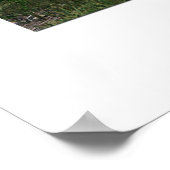 Poster Breeze (Coin)