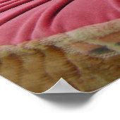 Poster Breeze Du Japon (Coin)