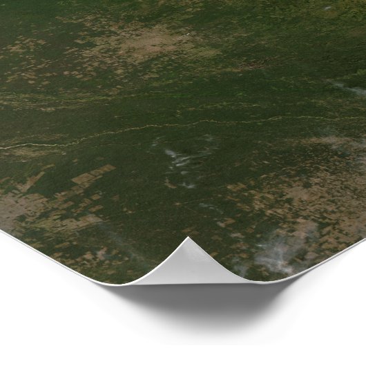 Poster Brésil (Coin)