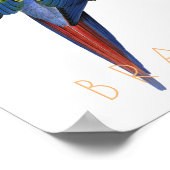 Poster Brésil vintage voyage Macaw oiseau mi-siècle (Coin)