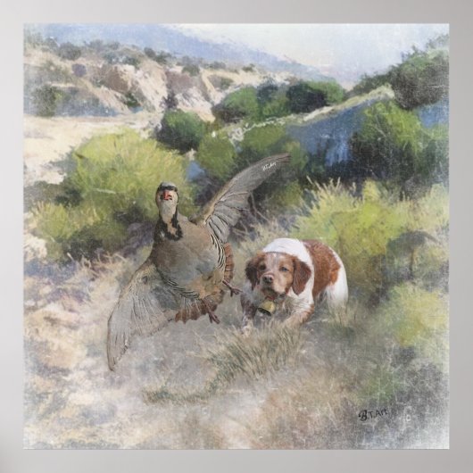 Poster Bretagne Espagnol chasse perdrix chukar, Art (Devant)