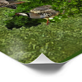 Poster Bretagne Espagnols, chasse aux oiseaux (Coin)