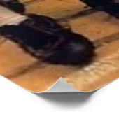 POSTER BRIAN BOSEWORTH LE PAYS DE BOZ (Coin)