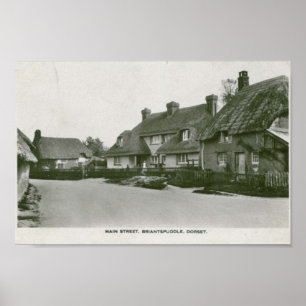 Poster Briantspuddle, copie vintage de carte postale de