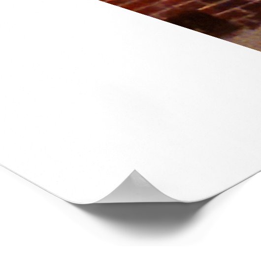 Poster Brick Beauty (Coin)