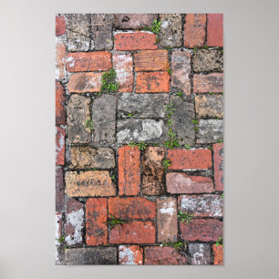 Poster Brick Sidewalk, Apalachicola, Floride