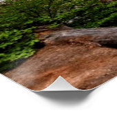 Poster Bridal Veil (Coin)