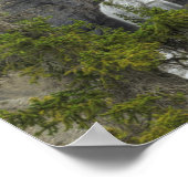 Poster Bridal Veil (Coin)