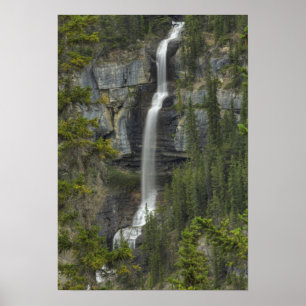 Poster Bridal Veil
