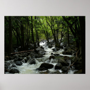 Poster Bridalveil Creek dans le parc national de Yosemite