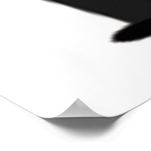 POSTER BRIDE ET GROUPE (Coin)