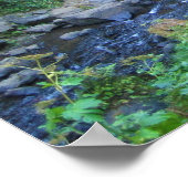 Poster Bridge at Latourell Falls, Oregon (Coin)