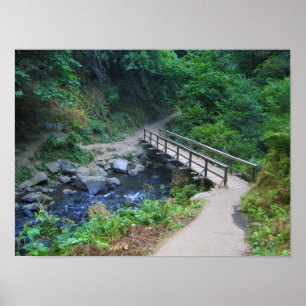 Poster Bridge at Latourell Falls, Oregon