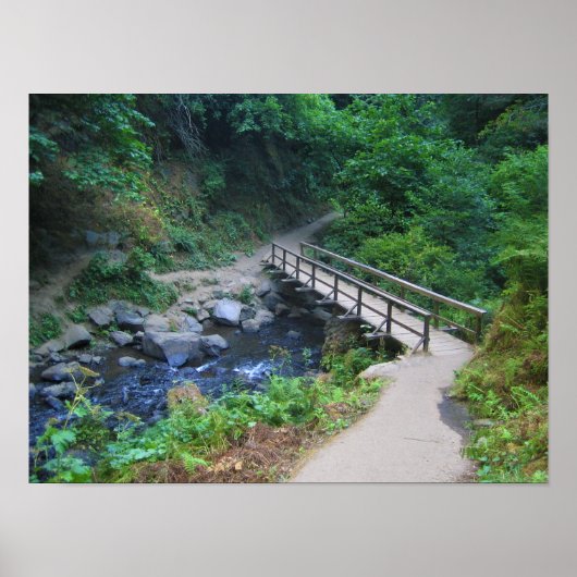 Poster Bridge at Latourell Falls, Oregon (Devant)