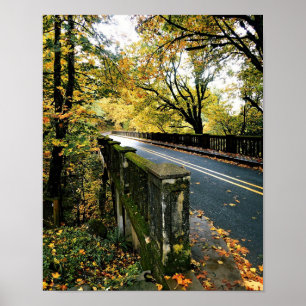 Poster Bridge at Latourell Falls, Oregon