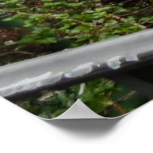 Poster Bridge of Flowers (Coin)