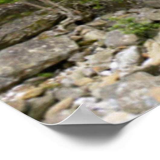 Poster Bridge Over Stream, Tsitsikamma National Park (Coin)