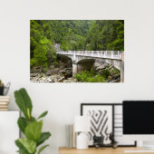 Poster Bridge Over Stream, Tsitsikamma National Park (Bureau à domicile)