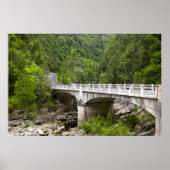 Poster Bridge Over Stream, Tsitsikamma National Park (Devant)