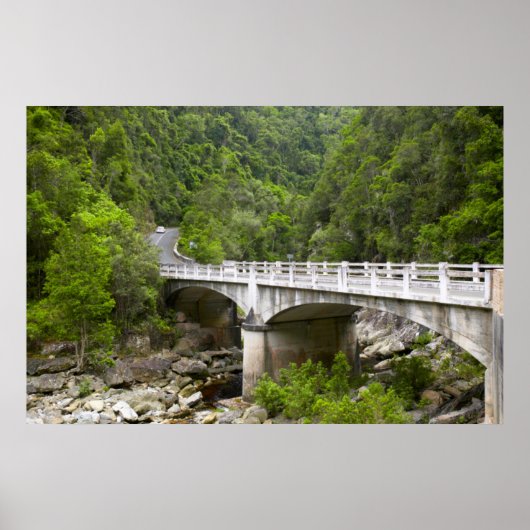Poster Bridge Over Stream, Tsitsikamma National Park (Devant)