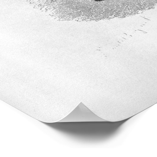 Poster Brid'oison (Coin)