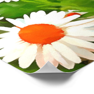 Poster Bright Colorful Jardin blanc pâle marguerites v4b